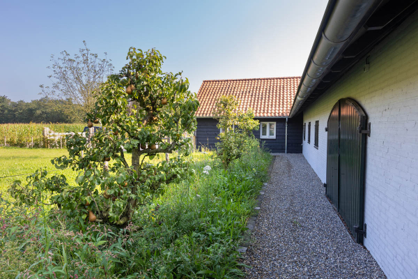 Mooie tuin met zwemvijver Moergestel