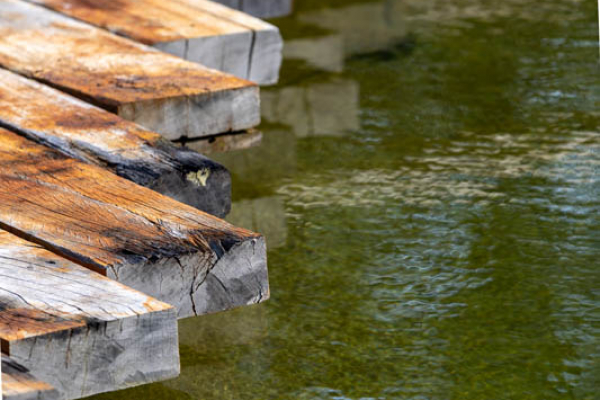 Mooie tuin met zwemvijver Moergestel