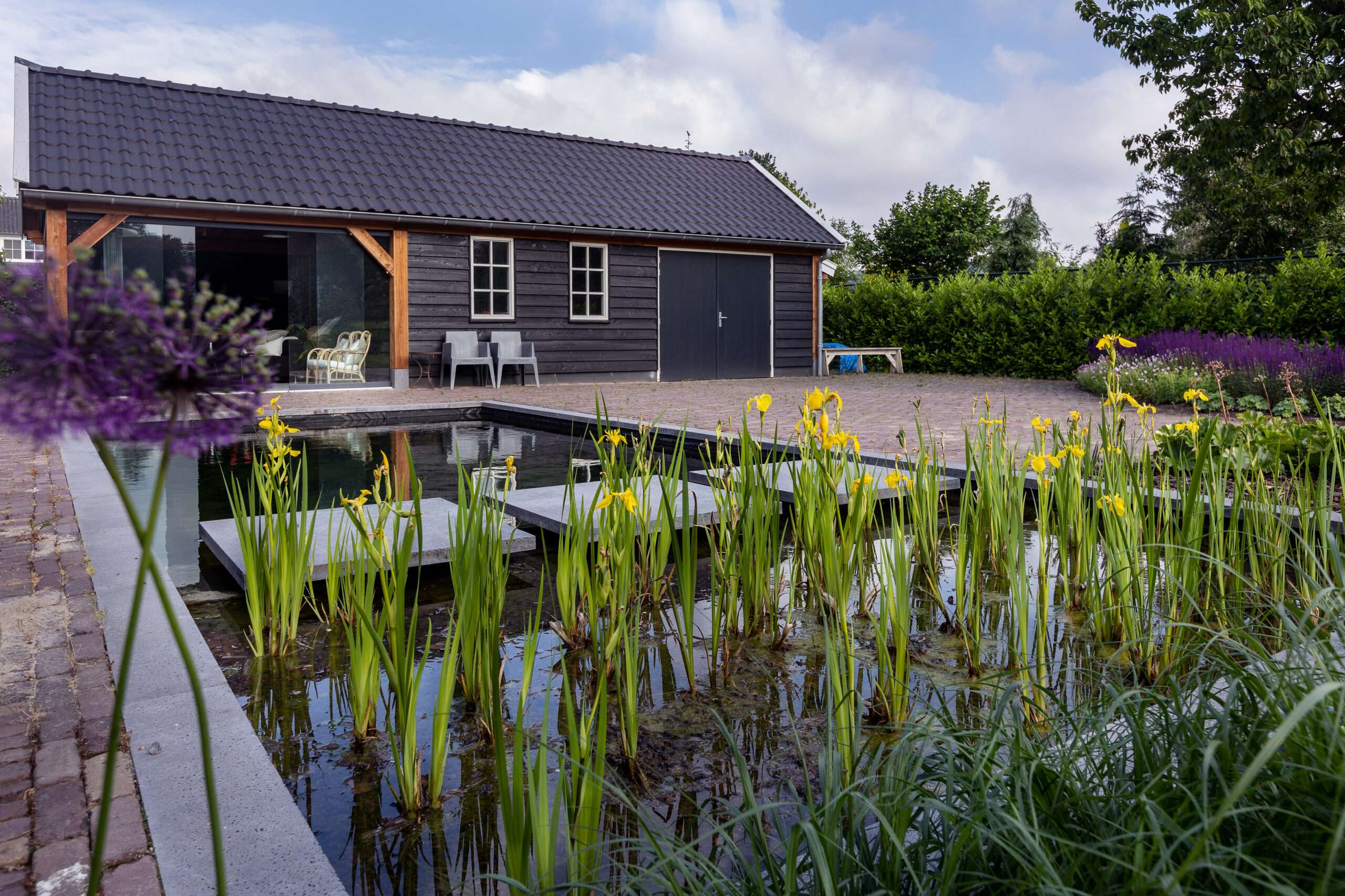 Zwemvijver tuin in Helmond