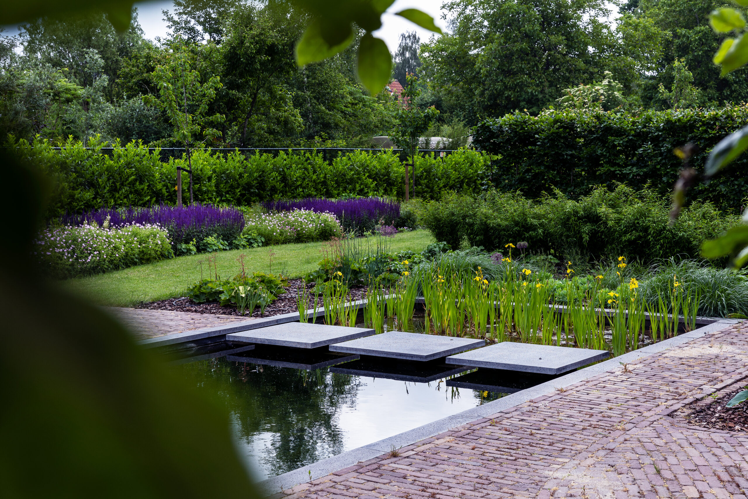 Zwemvijver tuin in Helmond