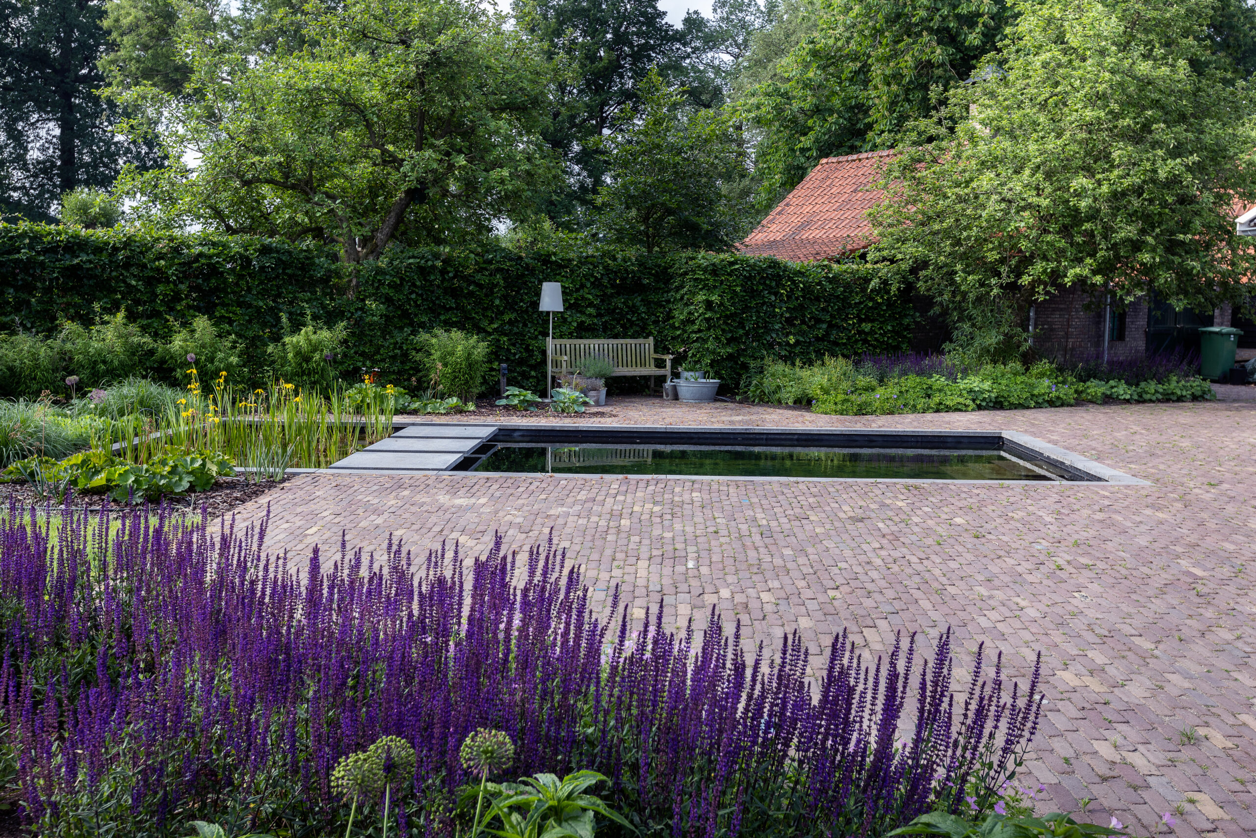 Zwemvijver tuin in Helmond